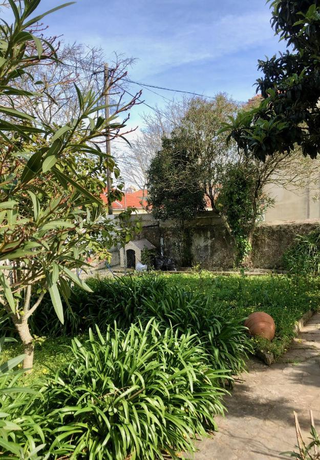 Sintra Nomad Lodge Exteriér fotografie